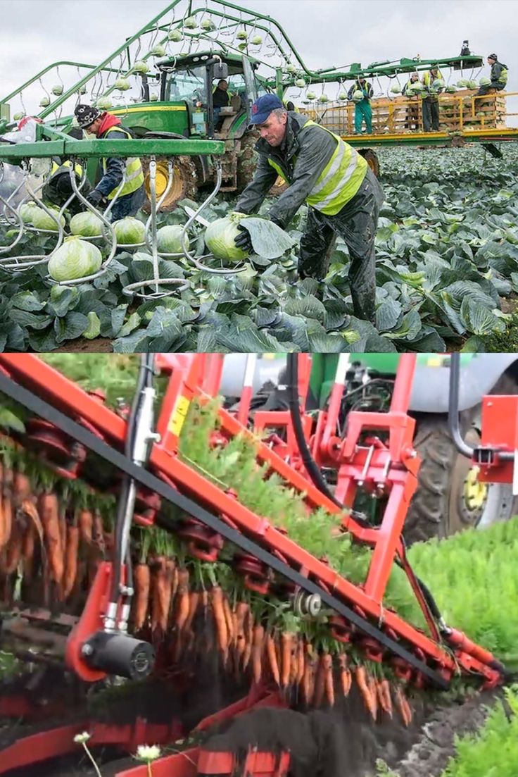 Agriculture programme